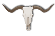 Bild "waspmod:CCT-longhorn-skull-190-sep.png"